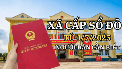 “MUỐN LÀM SỔ ĐỎ – RA XÃ!” " Hiệu lực từ 1/7/2025 – Ai chưa biết dễ mất quyền lợi!"