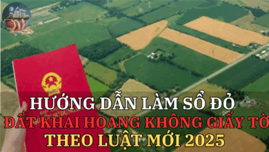 Hướng dẫn làm sổ đỏ theo luật mới 2025 – Cơ hội cuối cùng cho đất không giấy tờ