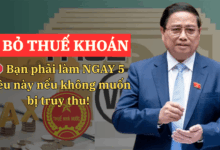 ❌ "BỎ THUẾ KHOÁN" – Bạn phải làm NGAY 5 điều này nếu không muốn bị truy thu