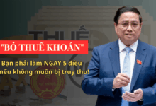 ❌ "BỎ THUẾ KHOÁN" – Bạn phải làm NGAY 5 điều này nếu không muốn bị truy thu