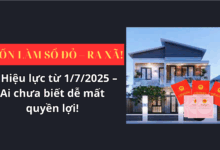 “MUỐN LÀM SỔ ĐỎ – RA XÃ!” " Hiệu lực từ 1/7/2025 – Ai chưa biết dễ mất quyền lợi!"