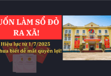 “MUỐN LÀM SỔ ĐỎ – RA XÃ!” " Hiệu lực từ 1/7/2025 – Ai chưa biết dễ mất quyền lợi!"