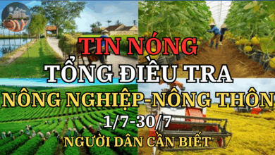 Từ ngày 1/7 đến 30/7/2025: Cuộc tổng điều tra lớn nhất về Nông thôn, Nông nghiệp và Thủy sản – Góc nhìn từ ruộng đồng đến bàn làm việc