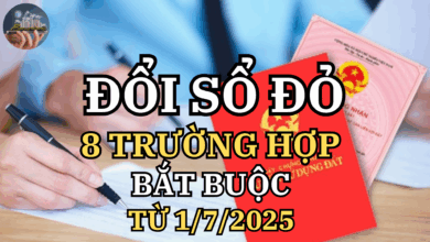 Từ 1/7/2025: 8 trường hợp bắt buộc phải đổi Sổ đỏ – Hiểu rõ để không rơi vào rắc rối pháp lý!