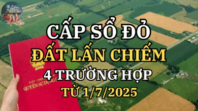4 Trường Hợp Đất Lấn Chiếm Vẫn Được Cấp Sổ Đỏ Từ Ngày 1/7/2025 – Góc Nhìn Đa Chiều