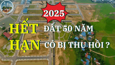 Đất 50 năm hết hạn có bị thu hồi không?( mới 2025)