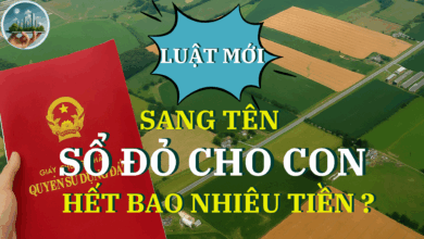 Khi Sang Tên Sổ Đỏ Cho Con Sẽ Hết Bao Nhiêu Tiền Theo Luật Đất Đai 2025?
