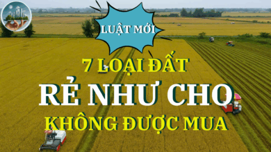 7 LOẠI ĐẤT "RẺ NHƯ CHO" CŨNG KHÔNG NÊN MUA THEO LUẬT ĐẤT ĐAI 2025