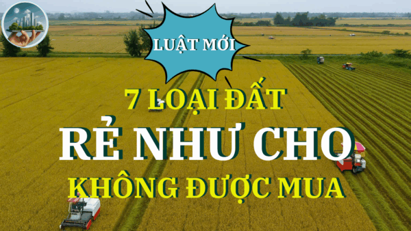 7 LOẠI ĐẤT "RẺ NHƯ CHO" CŨNG KHÔNG NÊN MUA THEO LUẬT ĐẤT ĐAI 2025