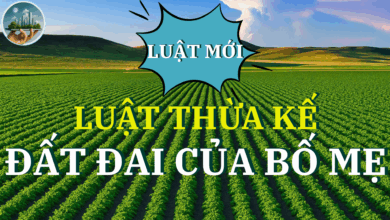 LUẬT THỪA KẾ ĐẤT ĐAI TRONG GIA ĐÌNH
