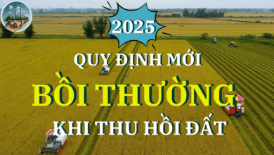 QUY ĐỊNH MỚI BỒI THƯỜNG KHI THU HỒI ĐẤT ( LUẬT ĐẤT ĐAI 2025)