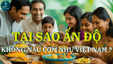 “Tại sao Ấn Độ không nấu cơm như Việt Nam?” – Một lát cắt văn hóa từ nồi cơm mỗi ngày