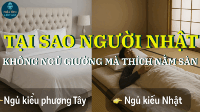 TẠI SAO NGƯỜI NHẬT KHÔNG NGỦ GIƯỜNG MÀ THÍCH NẰM SÀN? | PHÂN TÍCH GÓC NHÌN VĂN HÓA - SỨC KHỎE - TRIẾT LÝ SỐNG