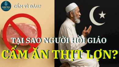 Tại sao người Hồi giáo cấm ăn thịt lợn? Phân tích tôn giáo, lịch sử & góc nhìn hiện đại