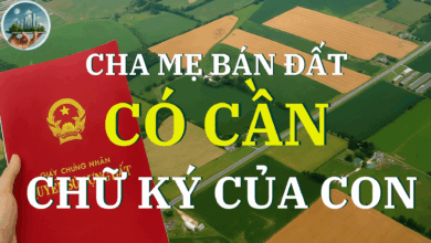 “Bán đất có cần chữ ký của người trong hộ khẩu? Khi bán đất cần chữ ký của những ai? Chủ hộ có quyền bán đất không?”