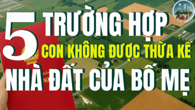 5 trường hợp con không được hưởng thừa kế – Góc nhìn từ Luật thừa kế đất đai trong gia đình Việt