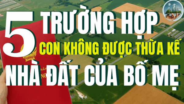 5 trường hợp con không được hưởng thừa kế – Góc nhìn từ Luật thừa kế đất đai trong gia đình Việt