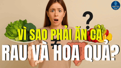 VÌ SAO PHẢI ĂN CẢ RAU VÀ HOA QUẢ? – GÓC NHÌN KHÔNG CHỈ LÀ DINH DƯỠNG