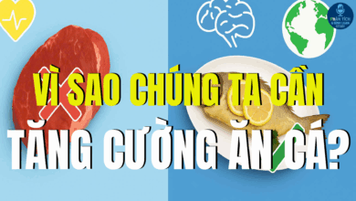 VÌ SAO CHÚNG TA CẦN TĂNG CƯỜNG ĂN CÁ?