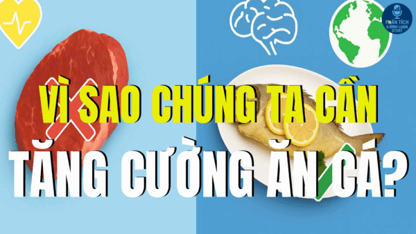 VÌ SAO CHÚNG TA CẦN TĂNG CƯỜNG ĂN CÁ?