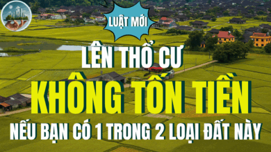 LÊN THỔ CƯ KHÔNG TỐN TIỀN NẾU BẠN CÓ 1 TRONG 2 LOẠI ĐẤT NÀY THEO LUẬT ĐẤT ĐAI 2025