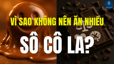 VÌ SAO KHÔNG NÊN ĂN NHIỀU SÔCÔLA?