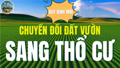 QUY ĐỊNH MỚI VỀ VIỆC CHUYỂN ĐỔI ĐẤT VƯỜN SANG THỔ CƯ TỪ NGÀY 1/7/2025