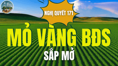 NGHỊ QUYẾT 171: CƠ HỘI VÀNG CHO NHÀ ĐẦU TƯ & NGƯỜI CÓ ĐẤT NÔNG NGHIỆP!
