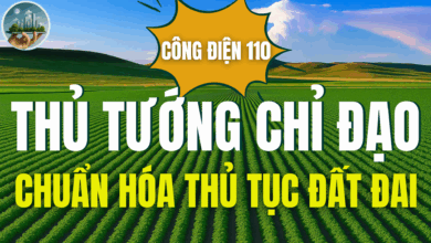 CÔNG ĐIỆN MỚI 110 - THỦ TƯỚNG CHỈ ĐẠO CHUẨN HÓA THỦ TỤC ĐẤT ĐAI