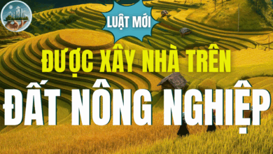 ĐƯỢC XÂY NHÀ TRÊN ĐẤT NÔNG NGHIỆP ĐỐI VỚI ĐẤT SỬ DỤNG ĐA MỤC ĐÍCH TỪ NGÀY 1/8/2024.