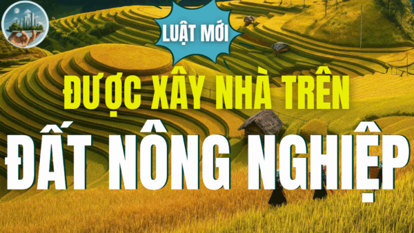 ĐƯỢC XÂY NHÀ TRÊN ĐẤT NÔNG NGHIỆP ĐỐI VỚI ĐẤT SỬ DỤNG ĐA MỤC ĐÍCH TỪ NGÀY 1/8/2024.