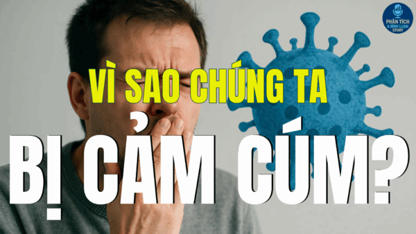 VÌ SAO BỊ CẢM CÚM?