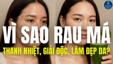VÌ SAO RAU MÁ THANH NHIỆT, GIẢI ĐỘC, MÁT GAN, LÀM ĐẸP DA?