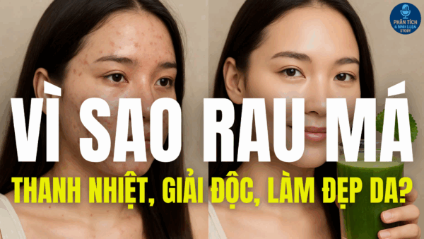VÌ SAO RAU MÁ THANH NHIỆT, GIẢI ĐỘC, MÁT GAN, LÀM ĐẸP DA?