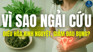 VÌ SAO NGẢI CỨU ĐIỀU HÒA KINH NGUYỆT, GIẢM ĐAU BỤNG?