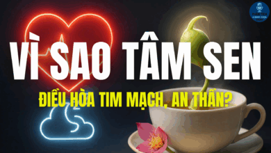 VÌ SAO TÂM SEN ĐIỀU HÒA TIM MẠCH, AN THẦN?