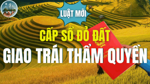 Cấp sổ đỏ đất giao trái thẩm quyền theo Luật Đất đai 2025