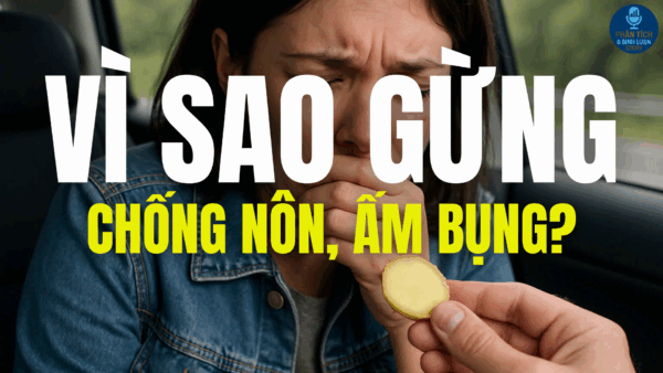 VÌ SAO GỪNG CHỐNG NÔN, ẤM BỤNG?