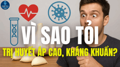 VÌ SAO TỎI TRỊ HUYẾT ÁP CAO, KHÁNG KHUẨN?