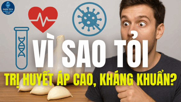 VÌ SAO TỎI TRỊ HUYẾT ÁP CAO, KHÁNG KHUẨN?