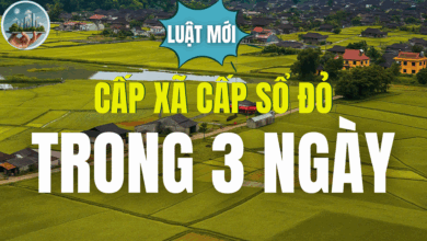 CẤP XÃ CẤP SỔ ĐỎ TRONG 3 NGÀY THEO LUẬT ĐẤT ĐAI 2025
