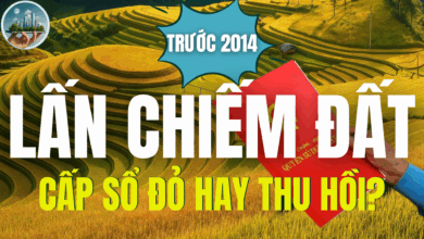 LẤN CHIẾM ĐẤT TRƯỚC 2014, CẤP SỔ ĐỎ HAY THU HỒI