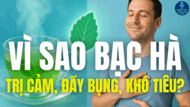 VÌ SAO BẠC HÀ TRỊ CẢM, ĐẦY BỤNG, KHÓ TIÊU?