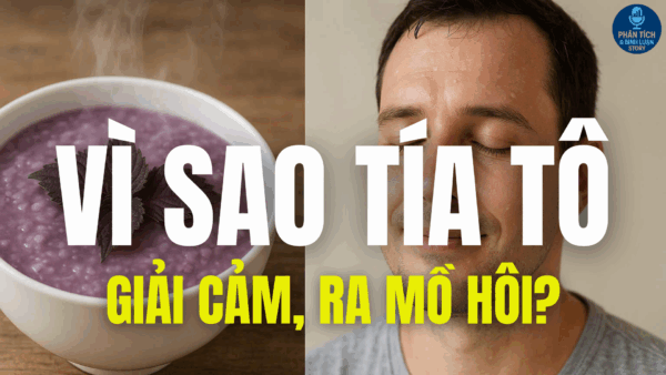 VÌ SAO TÍA TÔ GIẢI CẢM, RA MỒ HÔI?