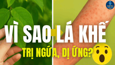 VÌ SAO LÁ KHẾ TRỊ NGỨA, DỊ ỨNG?