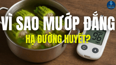 VÌ SAO MƯỚP ĐẮNG HẠ ĐƯỜNG HUYẾT?