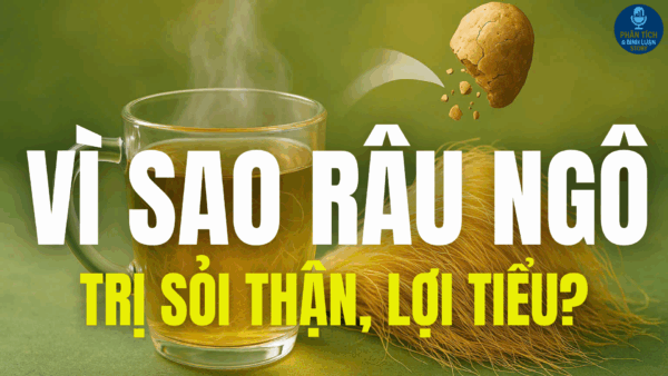 VÌ SAO RÂU NGÔ TRỊ SỎI THẬN, LỢI TIỂU?