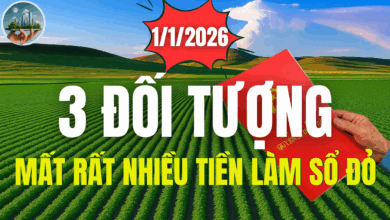 Kể từ 1/1/2026: 3 đối tượng sẽ phải mất rất nhiều tiền khi làm sổ đỏ, người dân cần làm ngay trong năm 2025