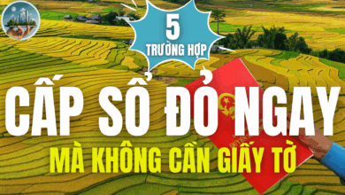 5 TRƯỜNG HỢP ĐƯỢC CẤP SỔ ĐỎ NGAY MÀ KHÔNG CẦN GIẤY TỜ THEO LUẬT ĐẤT ĐAI 2025