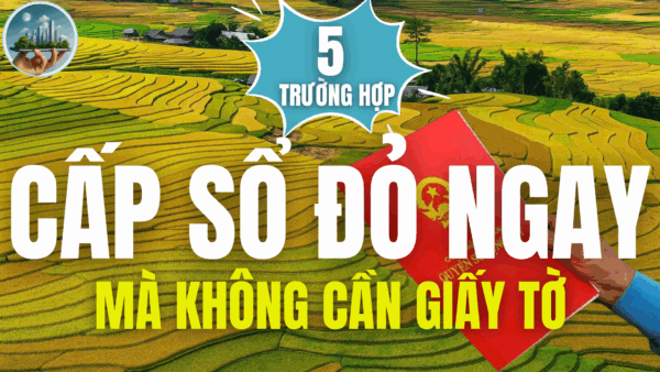 5 TRƯỜNG HỢP ĐƯỢC CẤP SỔ ĐỎ NGAY MÀ KHÔNG CẦN GIẤY TỜ THEO LUẬT ĐẤT ĐAI 2025